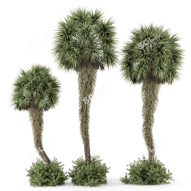 Tropical Palm Tree Plants 3D 3D model image 1