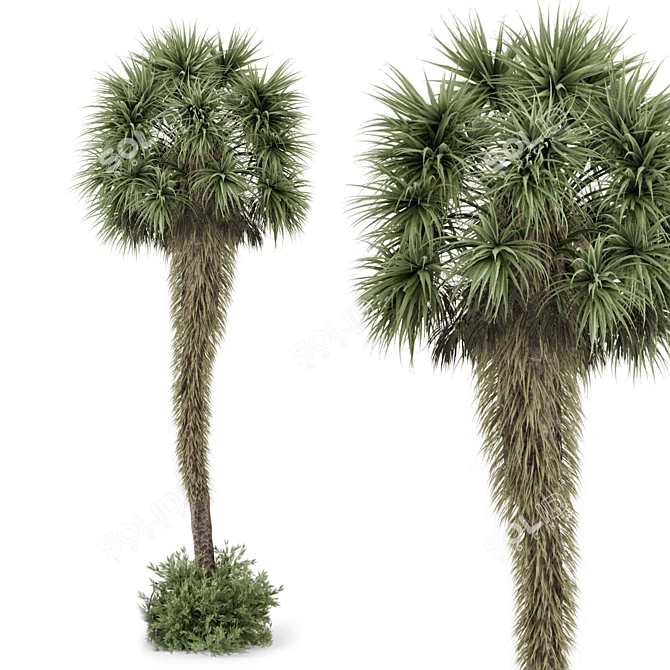 Tropical Palm Tree Plants 3D 3D model image 3