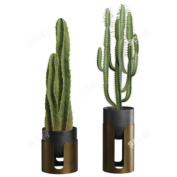 Desert Oasis 3D Cactus Set 3D model image 2