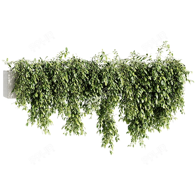 Outdoor Hanging Plant 2015 OBJ 3D model image 2