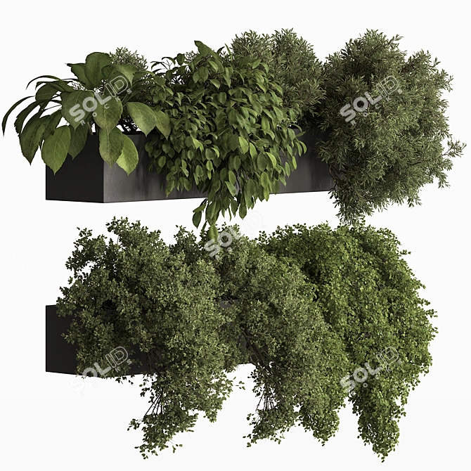 Hanging Indoor Plant 775 3D model image 1