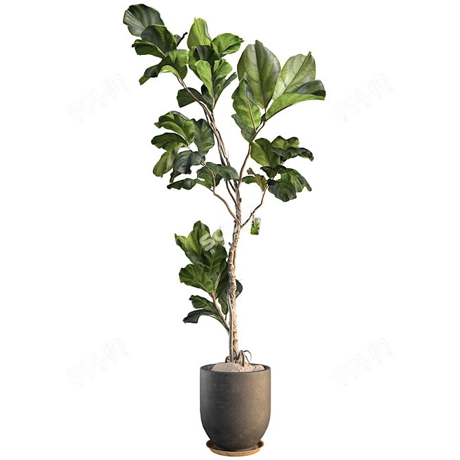 3D Plant & Decor Collection 3D model image 2