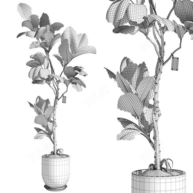 3D Plant & Decor Collection 3D model image 6