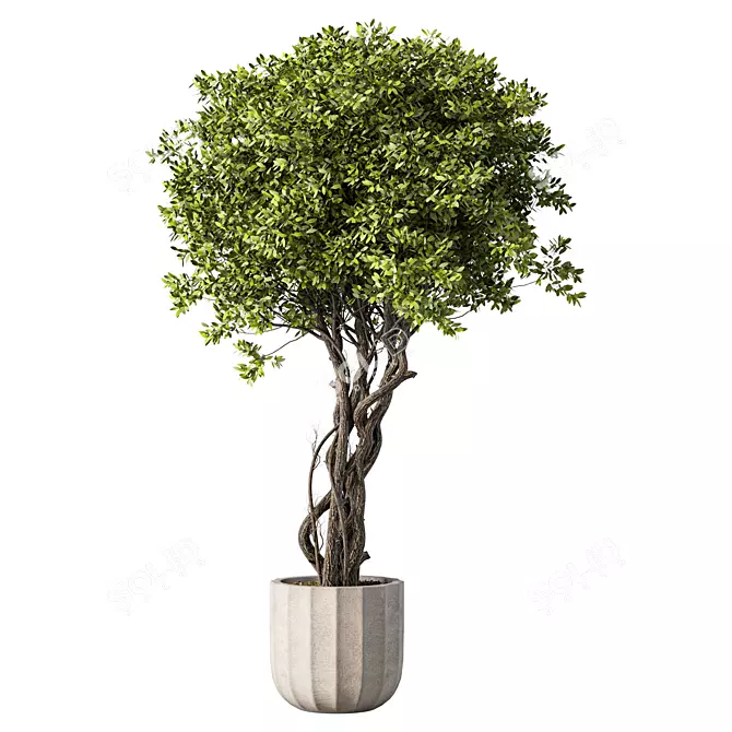 Botanical Sanctuary Collection 3D model image 1