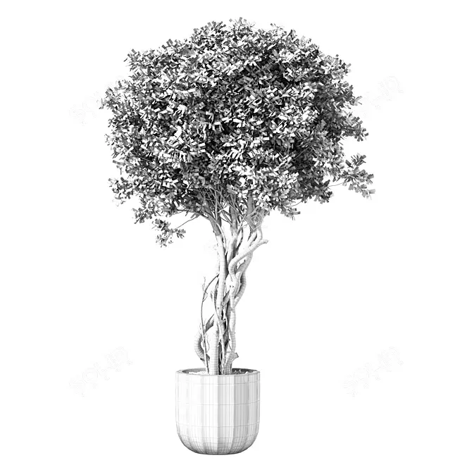 Botanical Sanctuary Collection 3D model image 4