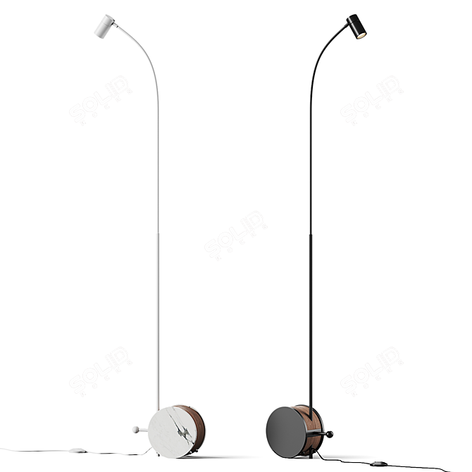 Sleek Adjustable Floor Lamp 3D model image 1