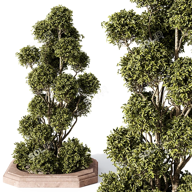 TurboSmooth Outdoor Plants Model - Vray/Corona 3D model image 1