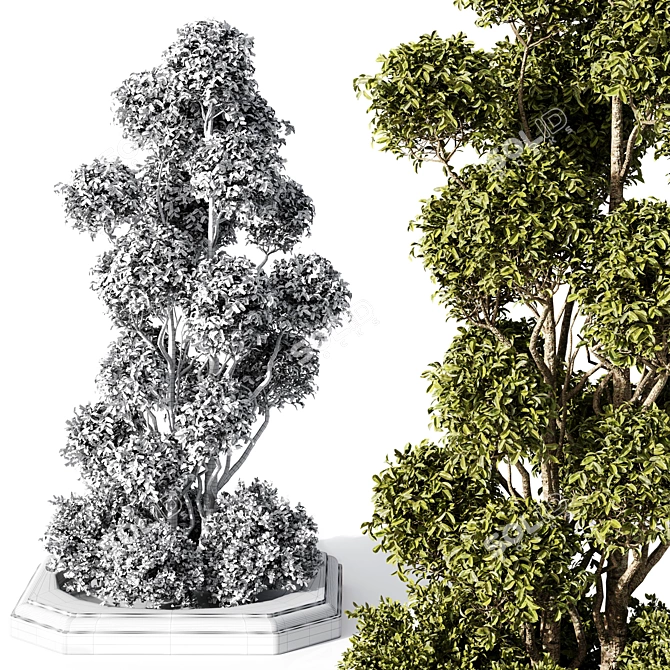 TurboSmooth Outdoor Plants Model - Vray/Corona 3D model image 2