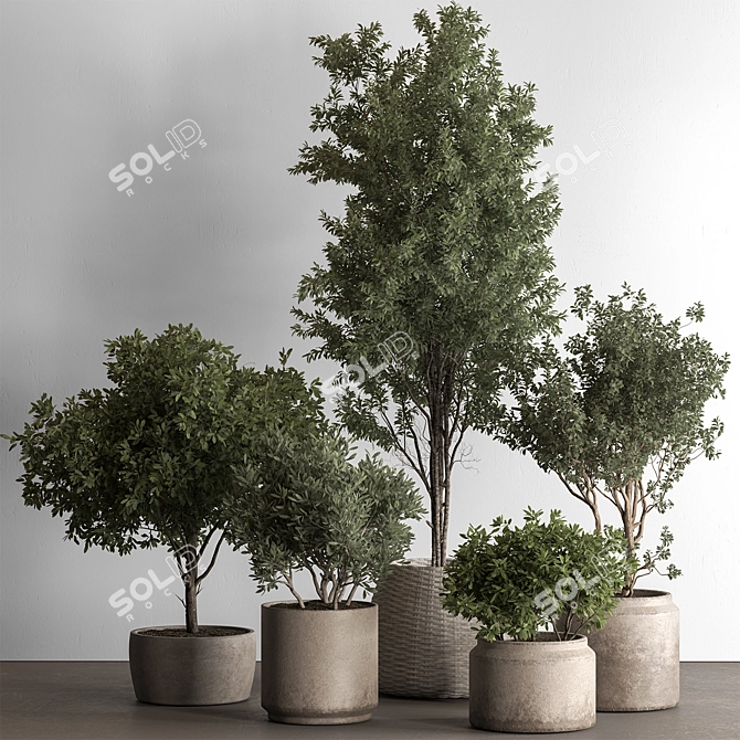 771 Tree in Pot Green Oasis 3D model image 1