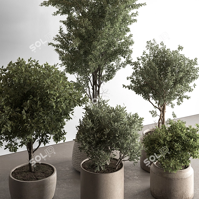 771 Tree in Pot Green Oasis 3D model image 2