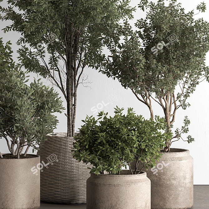 771 Tree in Pot Green Oasis 3D model image 3