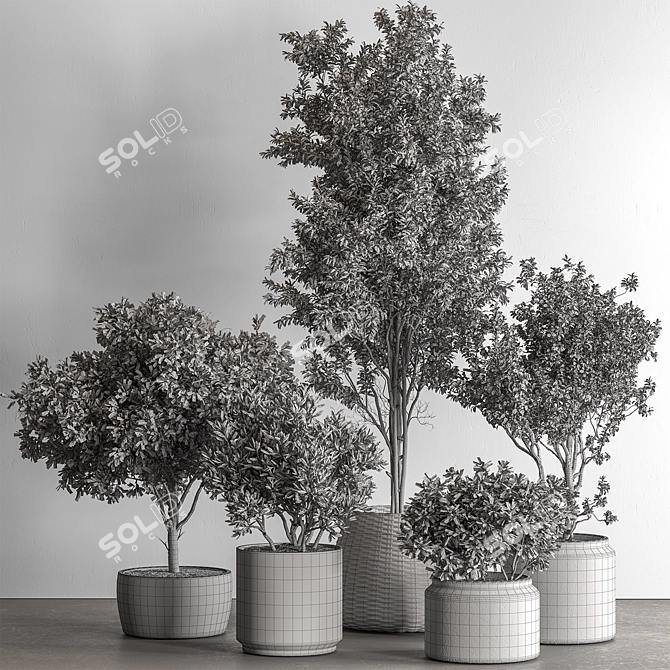 771 Tree in Pot Green Oasis 3D model image 6