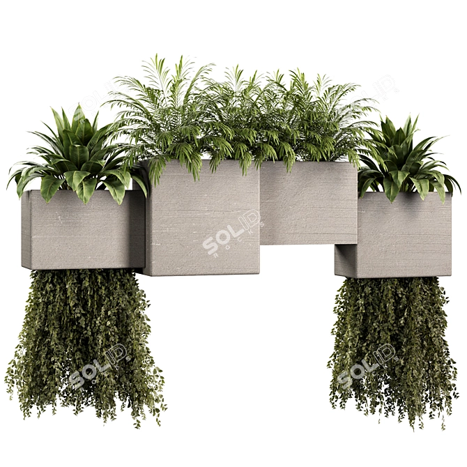 Indoor Plants Set 3D Models 3D model image 1