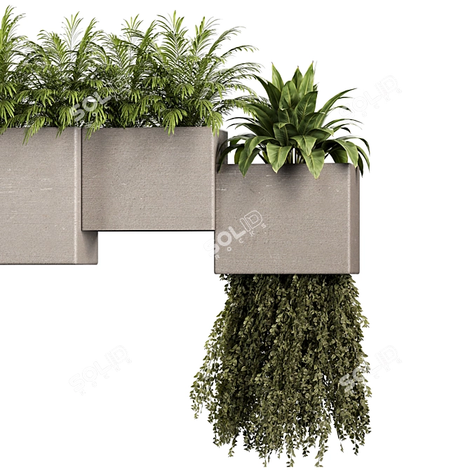 Indoor Plants Set 3D Models 3D model image 3