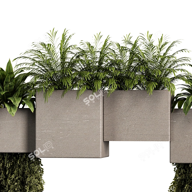 Indoor Plants Set 3D Models 3D model image 5