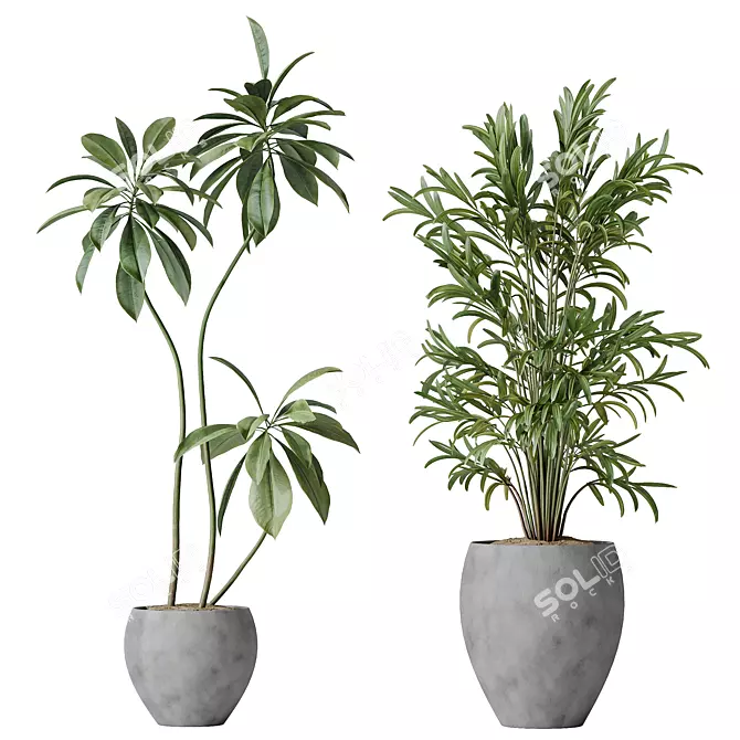 Indoor Plant Set 3D Models 3D model image 3