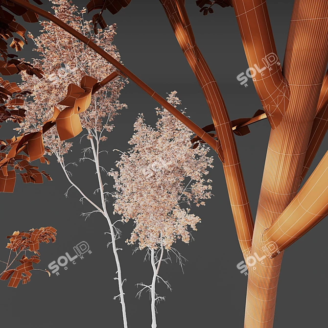 Betula Pendula 3D Tree Bundle 3D model image 7