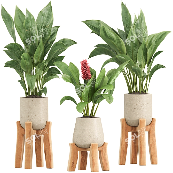 High-Quality Indoor Plant Set 3D model image 1