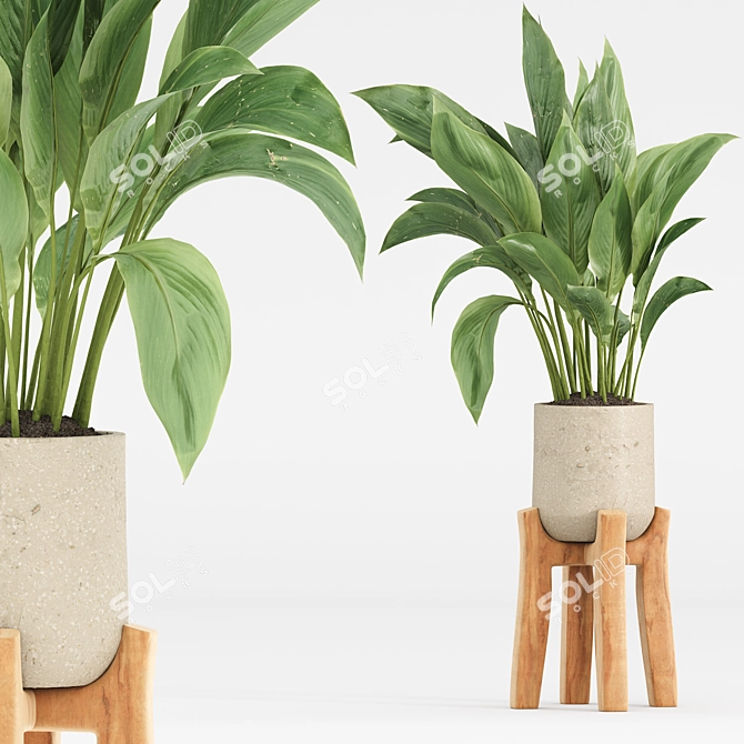 High-Quality Indoor Plant Set 3D model image 2