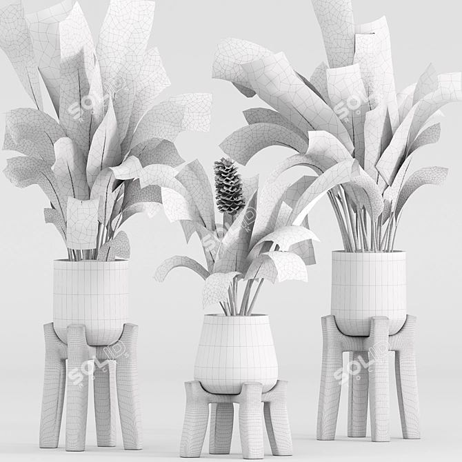 High-Quality Indoor Plant Set 3D model image 5