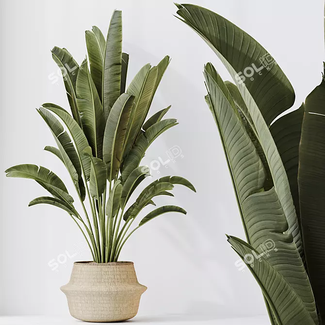 Tropical Paradise Bird Houseplant 3D model image 2