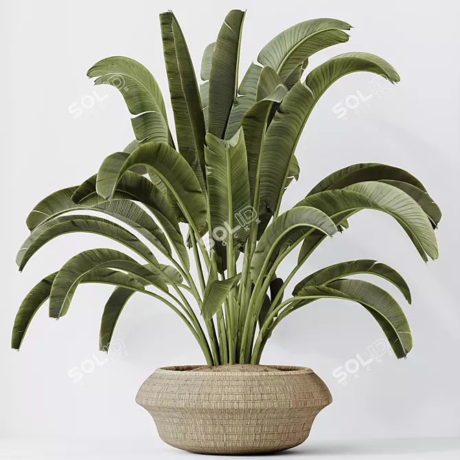 Tropical Paradise Bird Houseplant 3D model image 3