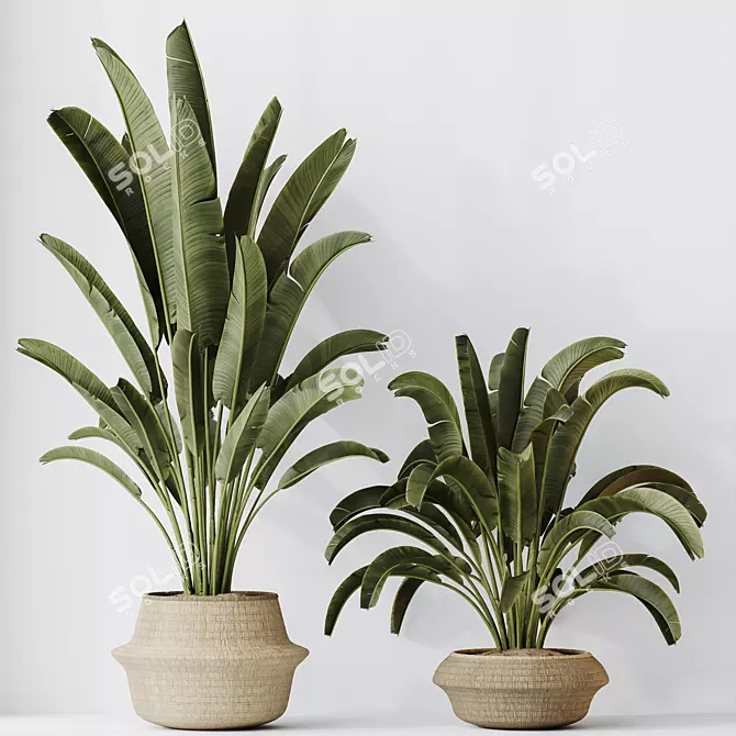 Tropical Paradise Bird Houseplant 3D model image 4