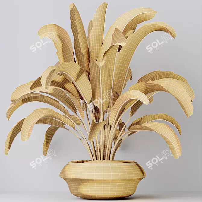 Tropical Paradise Bird Houseplant 3D model image 5