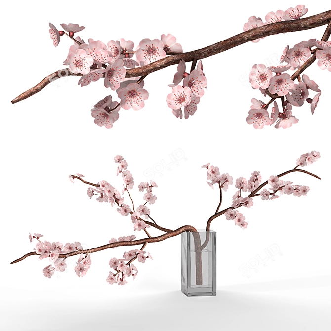 Sakura Blossom Branch Vase Decor 3D model image 1
