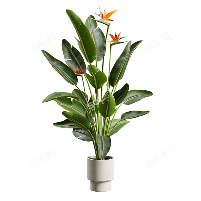 Tropical Elegance: Bird of Paradise 3D model image 2