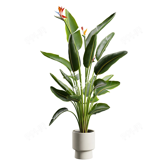 Tropical Elegance: Bird of Paradise 3D model image 7