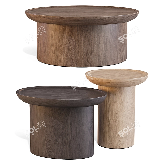 Martin and Brockett Findley Coffee Tables 3D model image 5