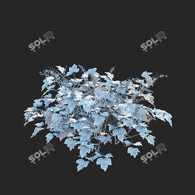 White Dicentra Spectabilis Set 3D model image 3