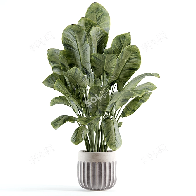 Custom Indoor Plant Model 296 3D model image 1