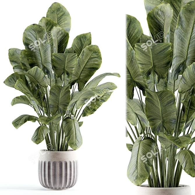 Custom Indoor Plant Model 296 3D model image 2