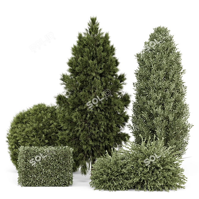 Outdoor Plants Bush Set 2389 3D model image 1