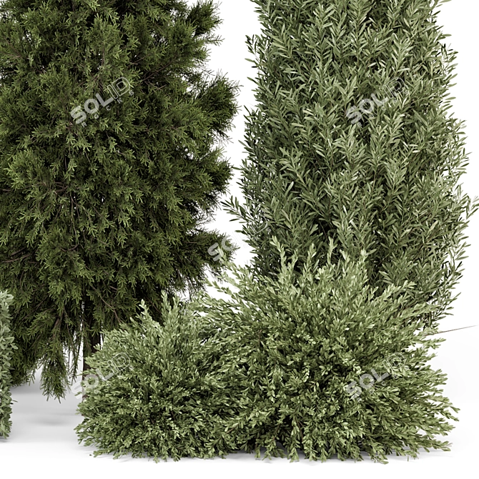 Outdoor Plants Bush Set 2389 3D model image 4