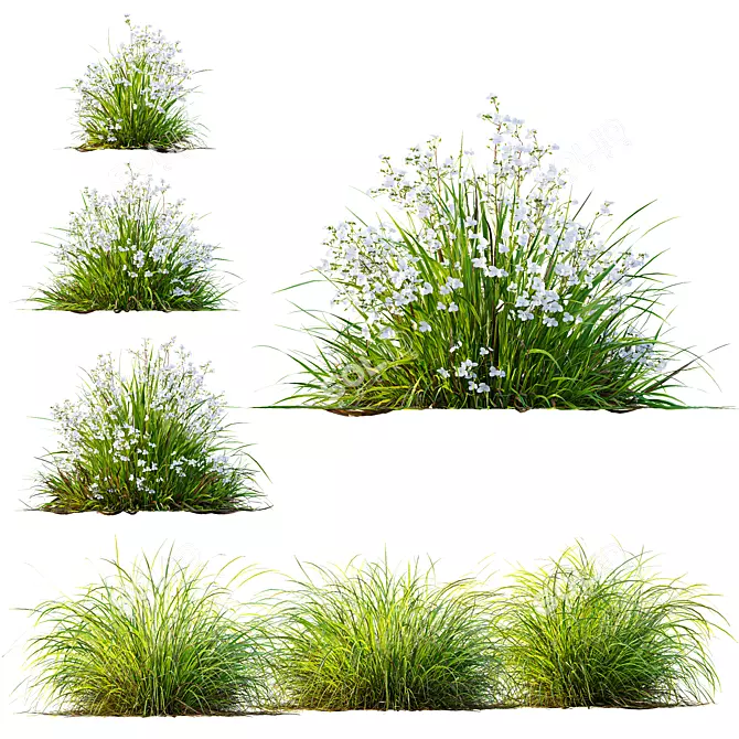 Lush Grass 3D Model Bundle 3D model image 1