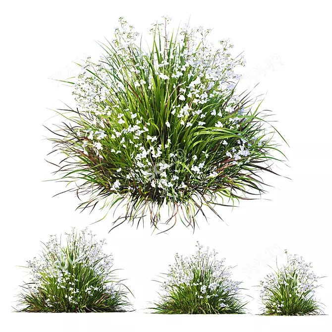 Lush Grass 3D Model Bundle 3D model image 3