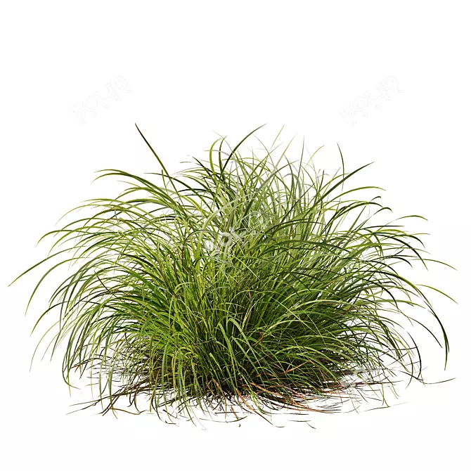 Lush Grass 3D Model Bundle 3D model image 4