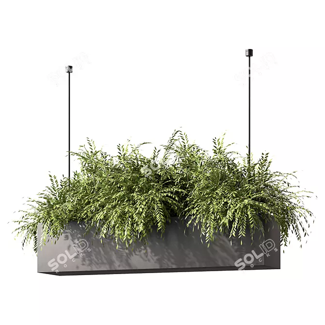 Modern Plant Hanging Trio Set 3D model image 1