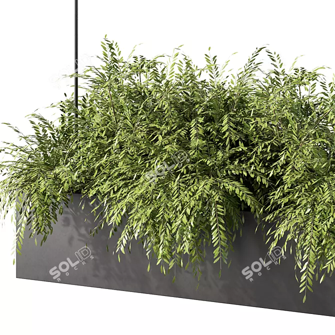 Modern Plant Hanging Trio Set 3D model image 4