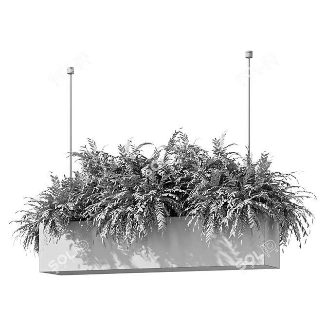 Modern Plant Hanging Trio Set 3D model image 5