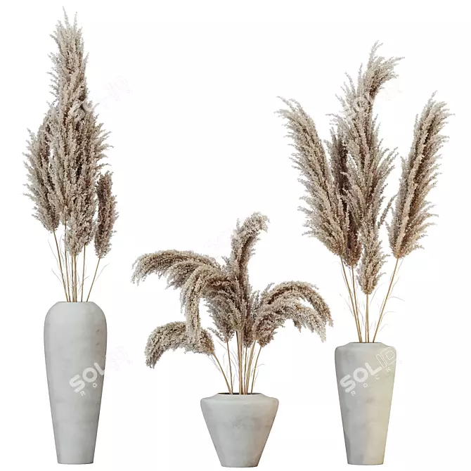 Boho Chic Pampas Grass Decor 3D model image 1