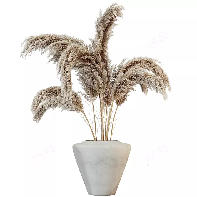 Boho Chic Pampas Grass Decor 3D model image 2