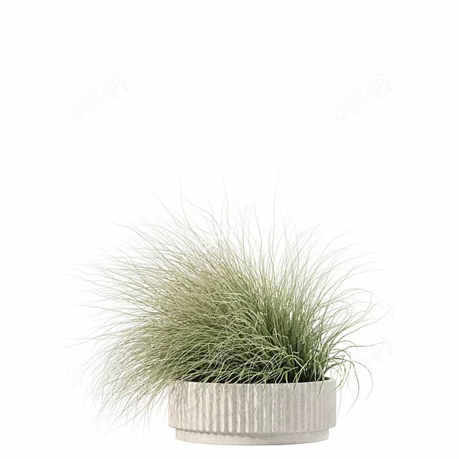 Rattan Pot Plants Collection: Palm, Grass, Cactus 3D model image 5