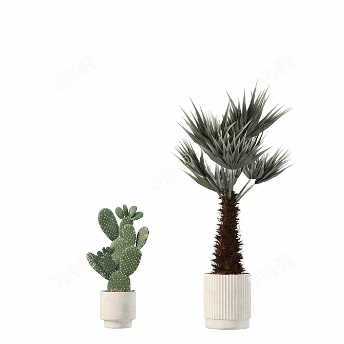 Rattan Pot Plants Collection: Palm, Grass, Cactus 3D model image 6