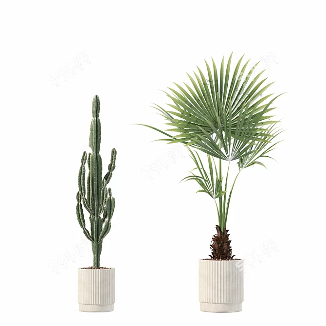 Rattan Pot Plants Collection: Palm, Grass, Cactus 3D model image 7