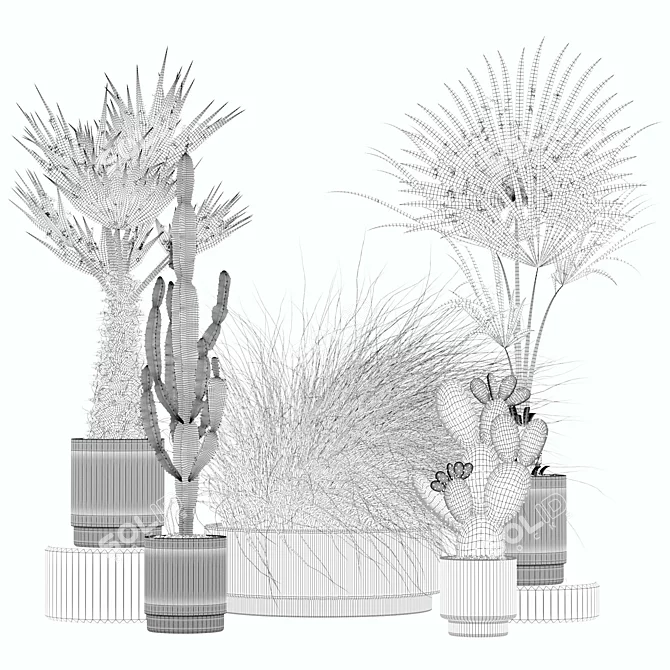 Rattan Pot Plants Collection: Palm, Grass, Cactus 3D model image 2