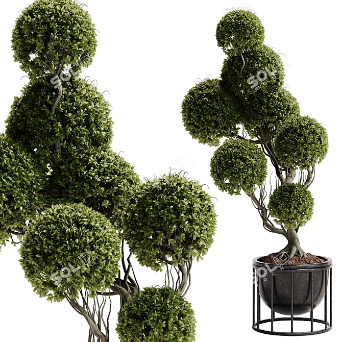 TurboSmooth Topiary Plant 30 3D model image 8